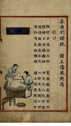 补遗雷公炮制便览