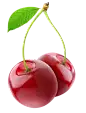 webp (19)