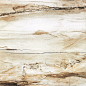 铂丽瓷砖木化石 地砖客厅 仿木纹地板砖防滑瓷砖 地砖800X800-tmall.com天猫