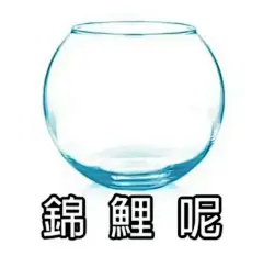 锦鲤表情包