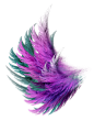 purple wing3 by Stephanie-inlove