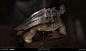 Dishonored 2 - Tortoise, Vincent Gros : Tortoise taxidermy from Dishonored 2, present in the Royal Conservatory exhibition.

From a side view concept art by Mathieu Reydellet.