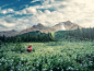 Discovery : A personal CGI project to practice bubbles