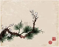 樱花树和松树树枝