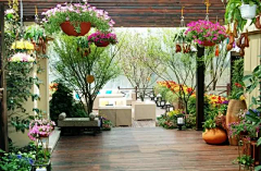 wooikun采集到酒店·庭院·花园