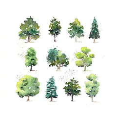 简单清新的植物系列水彩小插画，可以在闲暇时间临摹一下练练手。 ​​​​