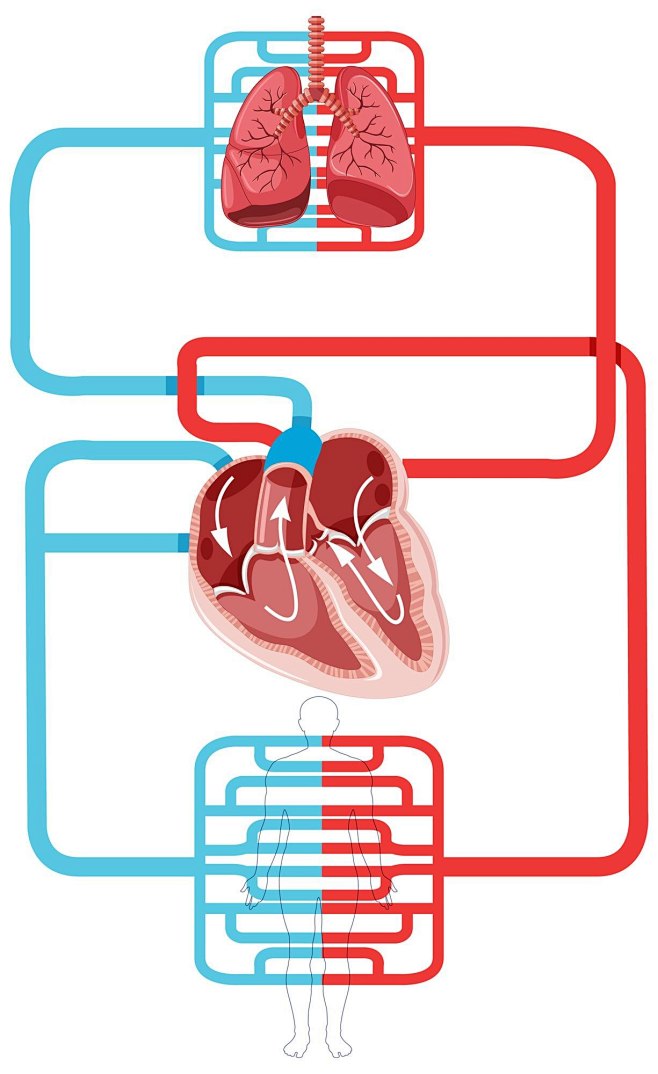 Free Vector %7C Diagram showing