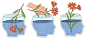 Illustrations parues dans le Nytimes - Marion Fayolle