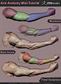 Anatomy Mini-Tutorials vol.1 Arms and Legs, Sherif Dawoud