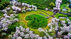  江西各地打造赏花名片 花海经济背后现隐忧 -ZAKER新闻 : 桃花、油菜花、樱花、郁金香、杜鹃花 &hellip;&hellip; 最近几年，随着休闲短途游概念的热炒，江西各地迅速打造了一张张赏花名片，赏花经济已经成为春季旅游经济的重头戏，对当地旅游服务业乃至整——ZAKER，个性化推荐热门新闻，本地权威媒体资讯