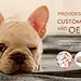 国际站大图 banner 宠物