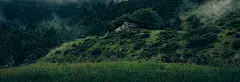 绿色背景 背景 设计图片 免费下载 页面网页 平面电商 创意素材