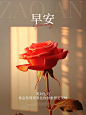 早安情感文案日签小红书封面AIGC
