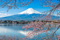 春夏秋冬の富士山