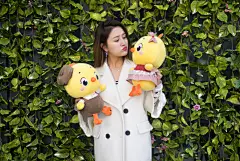 小黄鸡高登摄影作品（2）