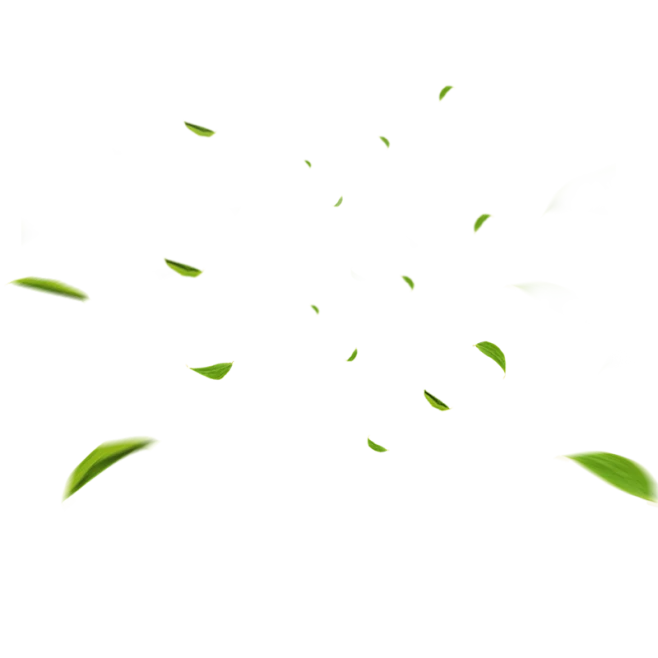 飘叶-花瓣网