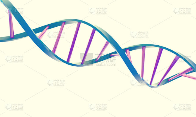 在白色背景上的 dna 双螺旋结构
