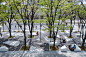 日本横滨城市公园改造，支撑一座城市的巨大水循环 / STGK inc. – mooool木藕设计网