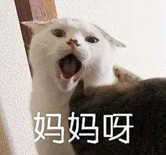 【图片】分享点表情包吧_表情包吧_百度贴吧