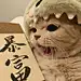 早日发财当老板
