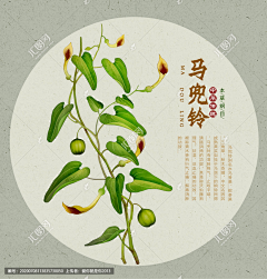 用户MnyFkJXO采集到灵药
