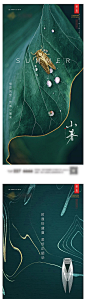 小暑系列海报-源文件