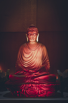 嫃忧采集到迦蓝【佛】