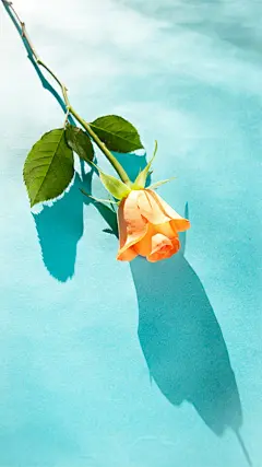 【高清手机壁纸。风景美图。城市风光摄影。设计灵感。桌面锁屏。日系韩系欧美。小清新。】❤️