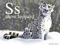S is for Snow Leopard on Behance
