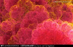 装饰画抽象画色彩背景素材印花图案抽象装饰画花纹图案分形无框画梦幻花纹背景墙装饰画梦幻装饰画装饰画花纹炫彩背景唯美壁纸唯美装饰画