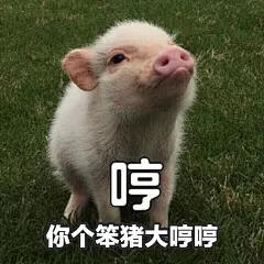 哼！你个笨猪大哼哼 - 温柔骂人表情包第二弹，你是头居！ ​_怼人表情表情