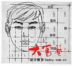人物头像结构比例1