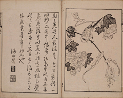 牧屿-采集到历代名公画谱