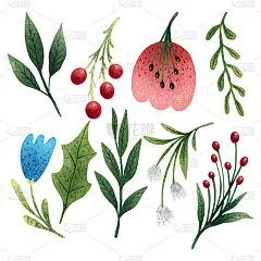一套很大的树叶、树枝和花朵的插图