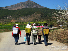 Ningsong2008采集到多图,丽江，去束河（一