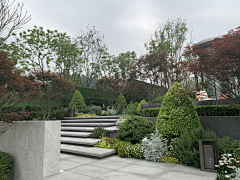 lawoniu采集到A/花园/植物