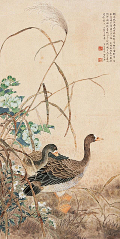JhonSionW采集到工笔动物