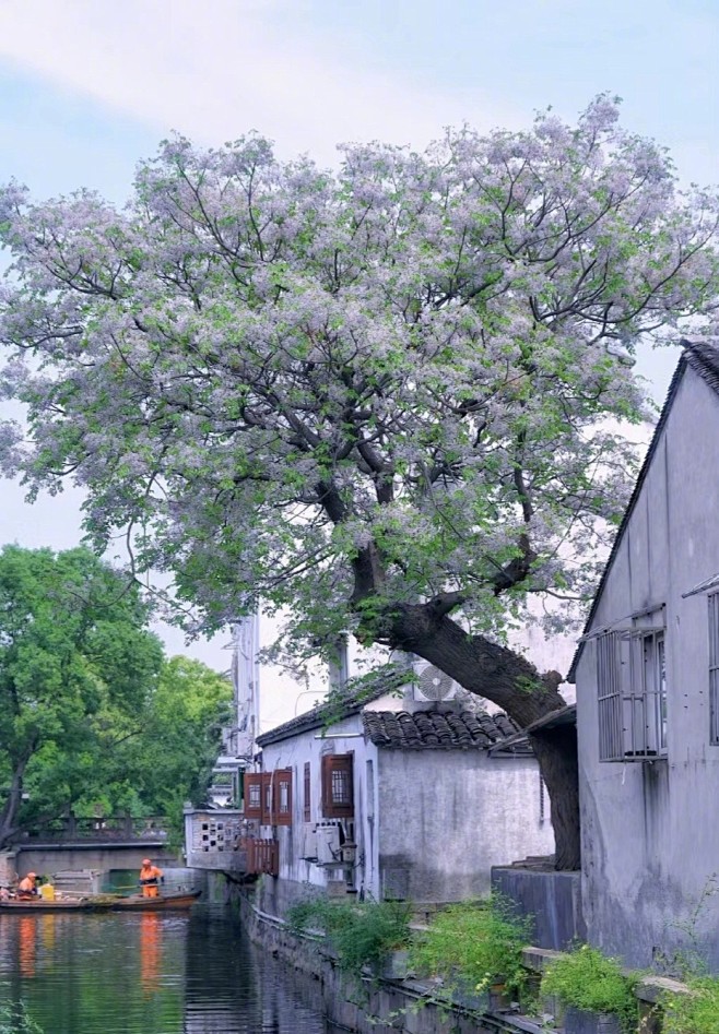 微博 – 随时随地发现新鲜事