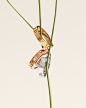 @bulgari Mother’s Day, Bulgari Bulgari rings, Bulgari Jewellery