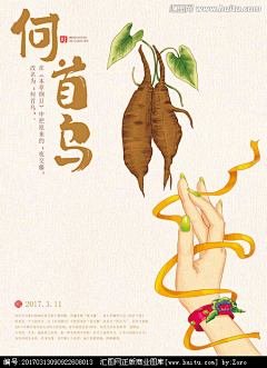 恋秋妆采集到植物花卉