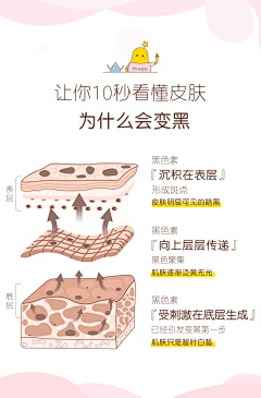 甜發發采集到美学标准