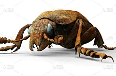 数字安全概念电脑错误隔离在白色，3D插图
