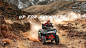 ATV全地形车 | Segway Powersports