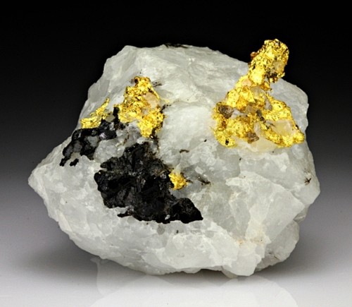 Gold with Quartz fro...