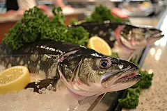 海产品食材银鳕鱼菜品
