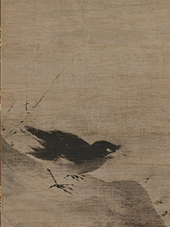 万里牵豬侠采集到雀
