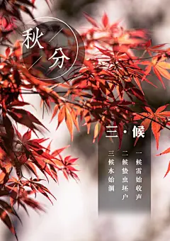 今日秋分 | 一场秋雨一场凉，天凉记得添衣裳......

2020年9月22日，秋分节气至；
秋分时节，秋色平分，昼夜等长。
秋分是一个浪漫的节气，秋高气爽；
一树树的黄叶随风摇曳，给这个开阔的季节增添了许多的诗意。
秋分过后，深秋已至，凉意更浓。
此时不妨静一静，停一停。
在明媚的秋光中，感悟多彩生活，观赏最美人间。
愿你我的生活恰如其分。