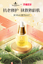 TAUTROPFEN天露芬旗舰店