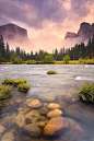 Yosemite National Park, CA: 
