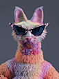 3D 3dart 3DArtist cats cinema4d Fashion  hairstyle Zbrush